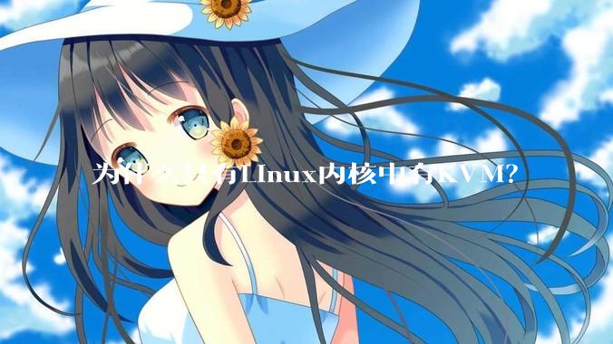 为什么只有Linux内核中有KVM？