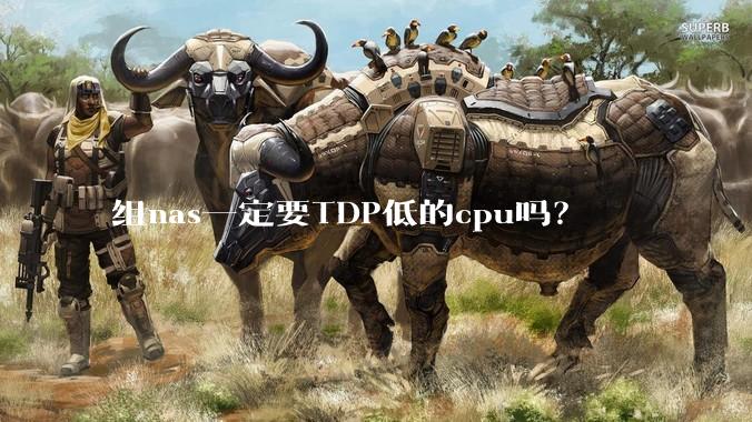 组nas一定要TDP低的cpu吗？