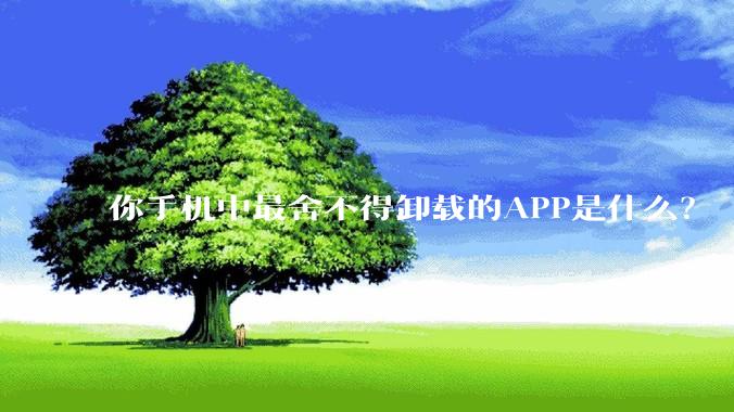 你手机中最舍不得卸载的APP是什么？